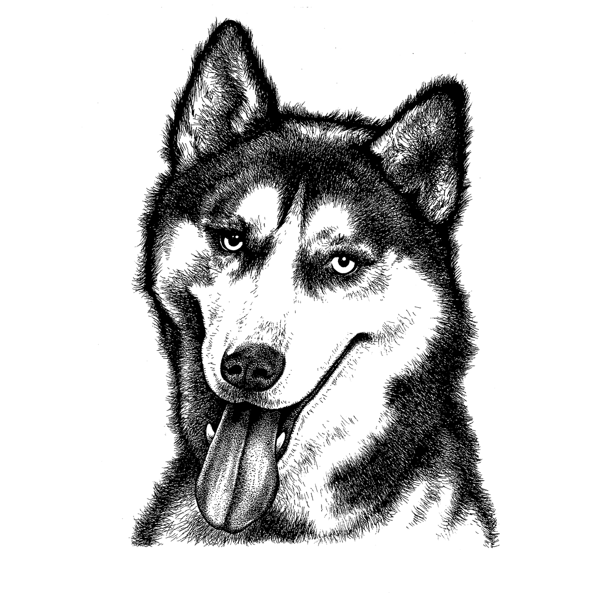 Organic Husky Hoodie